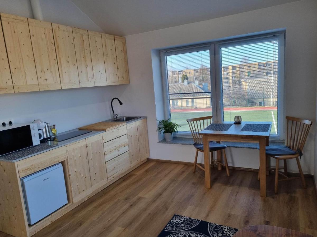 Neris Apartments シャウレイ エクステリア 写真